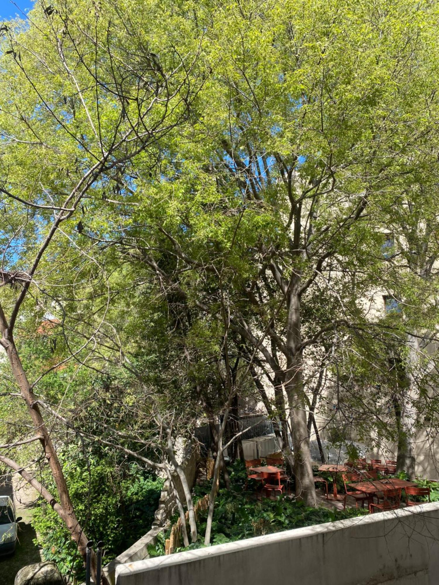 Appartement Le Cocon De Clara